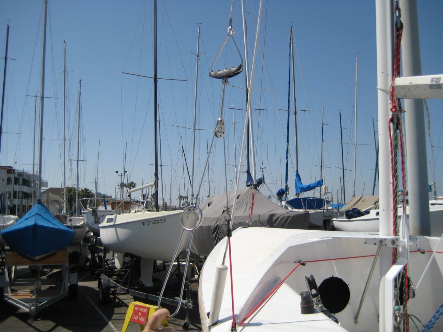 A bunch of boats are parked in the water