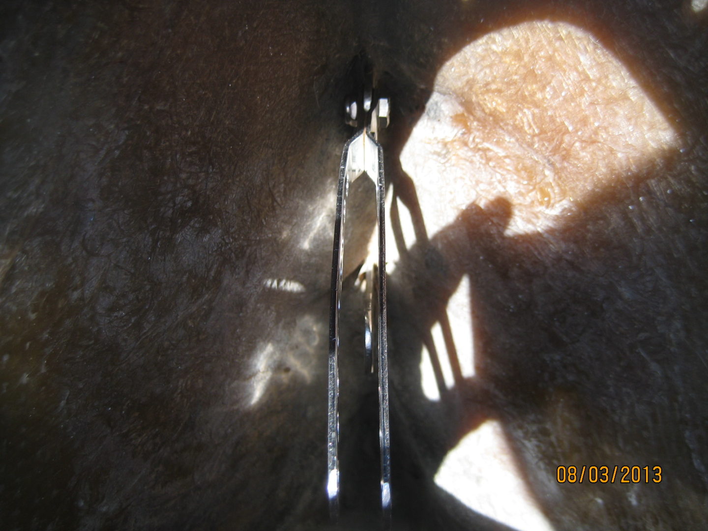 A pair of scissors sitting in the sunlight.