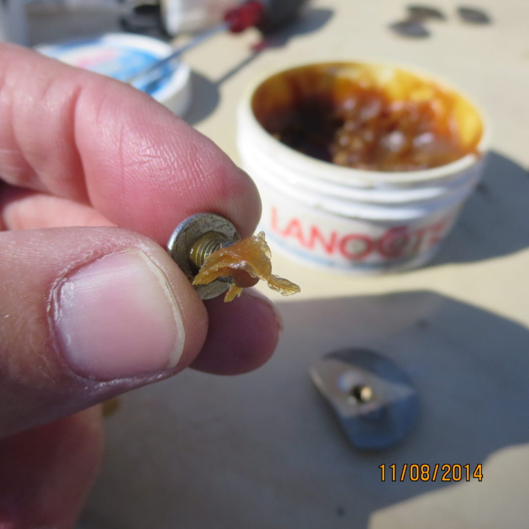 A person holding a tiny piece of food in their hand.