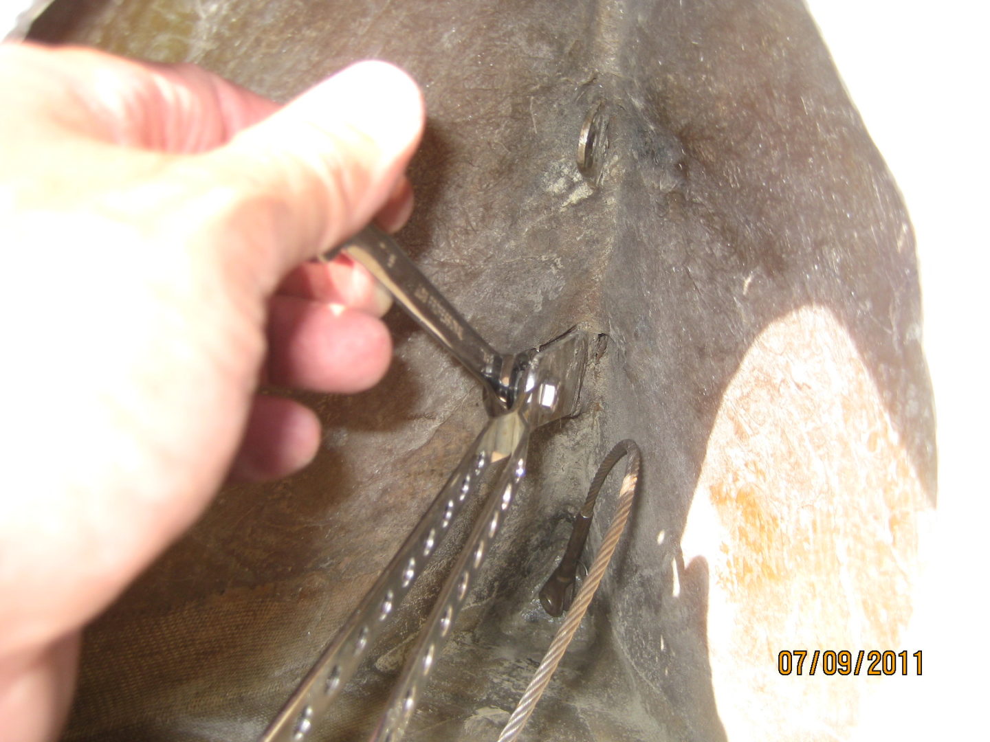 A person holding some scissors and something in their hand